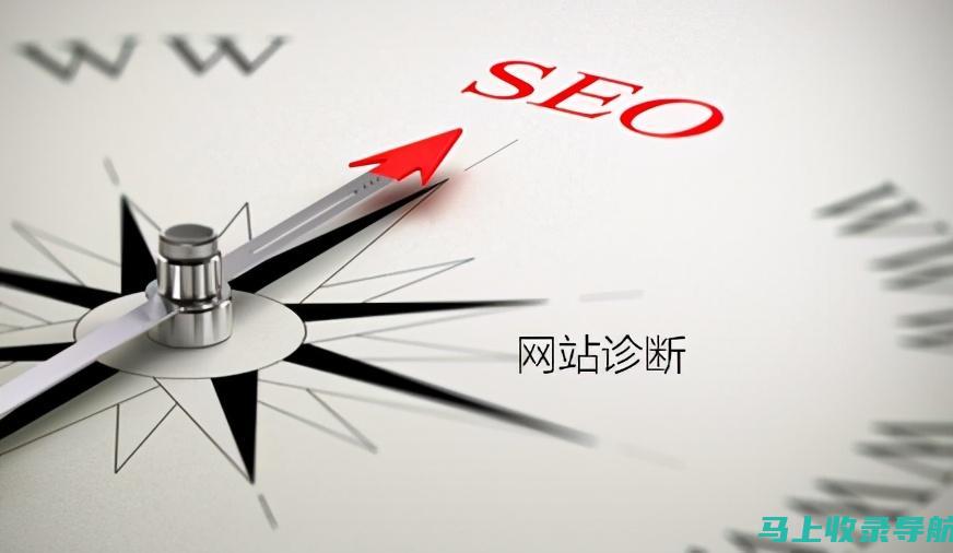 SEO综合查询教程：从零开始到专家级别